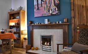 Lycia Rooms +